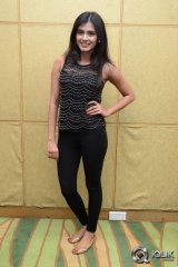 Hebha Patel at Ala Ela Movie Platinum Disc Function